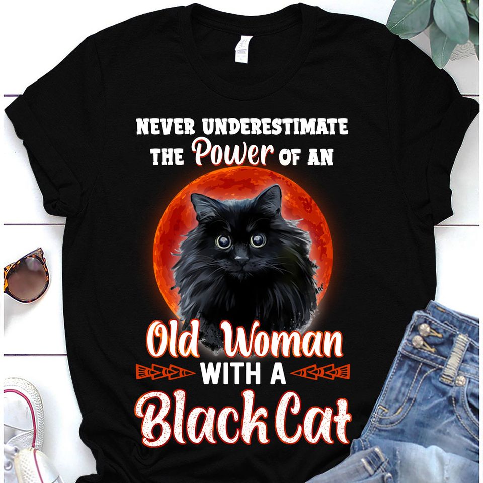 Never Underestimate The Power Of An Old Woman With A Black Cat Gift Standard/Premium T-Shirt