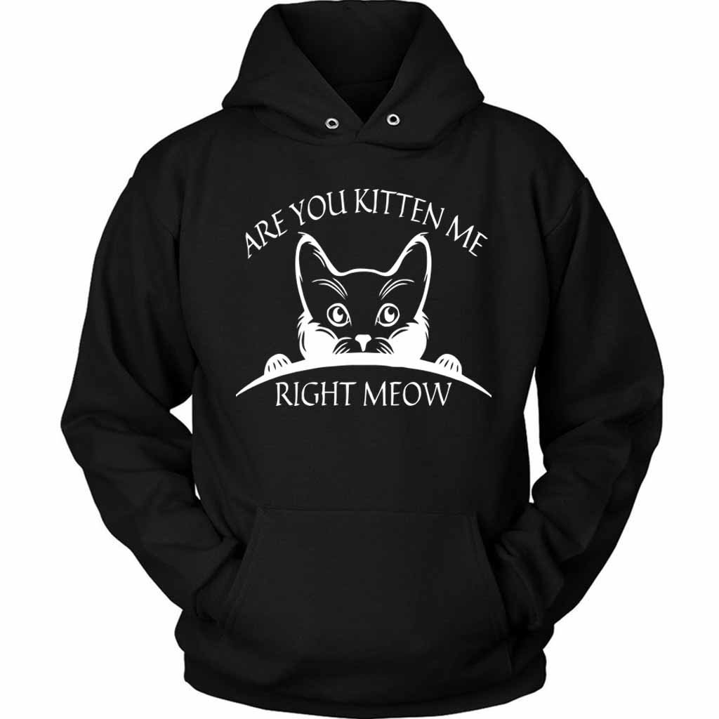 Are You Kitten Me Right Meow Cool Unisex Hoodie