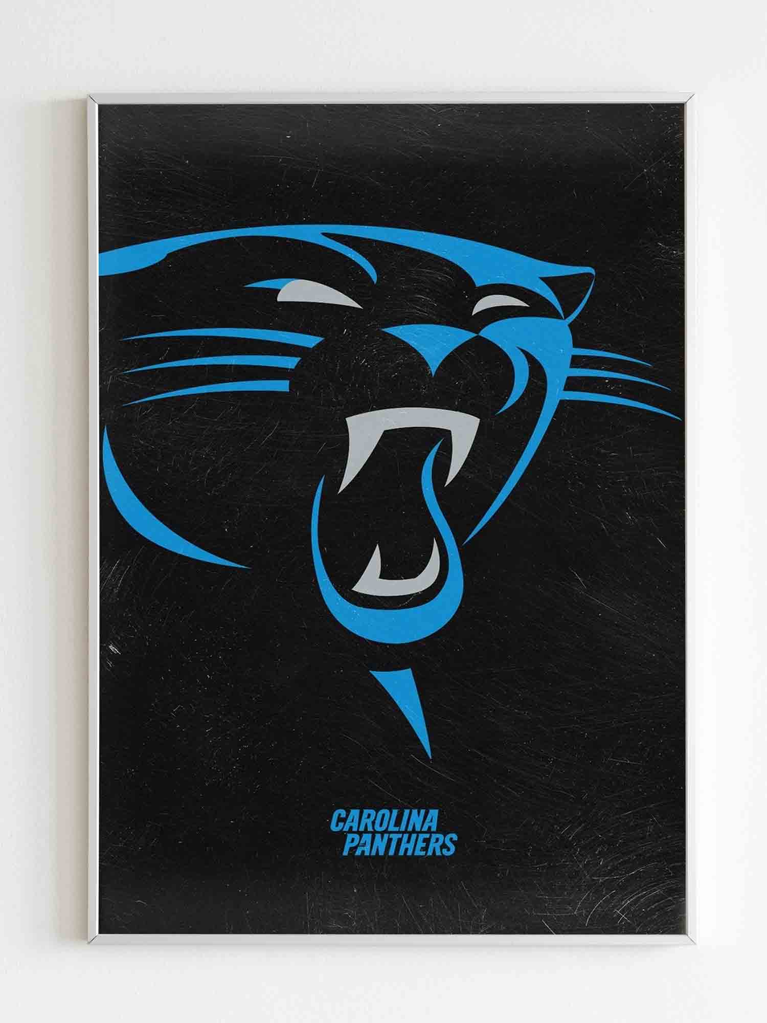 The Carolina Panthers Poster