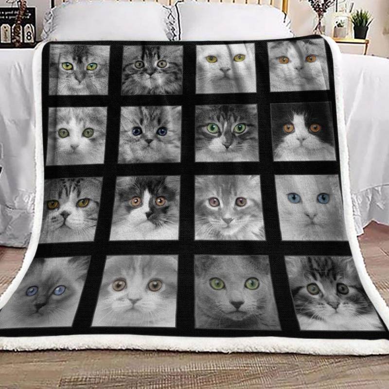 Adorable Kittens CLH2511010F Sherpa Fleece Blanket