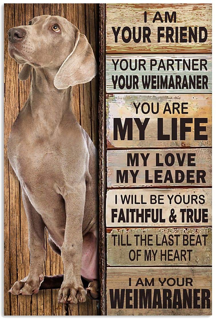 Weimaraner Art I’M Your Friend You’Re My Life My Love My Leader Wall Art Hanging Poster Painting Canvas Paper Photography Abstract Watercolor Living, Bedroom, Home Decor