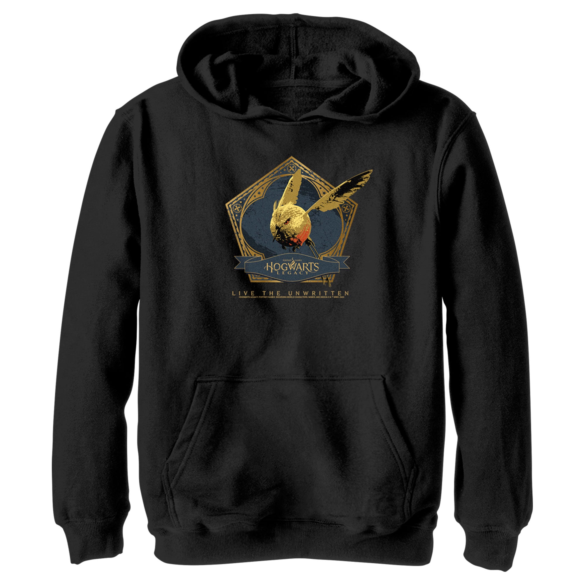 Boy’S Hogwarts Legacy Golden Snidget Logo Pull Over Hoodie