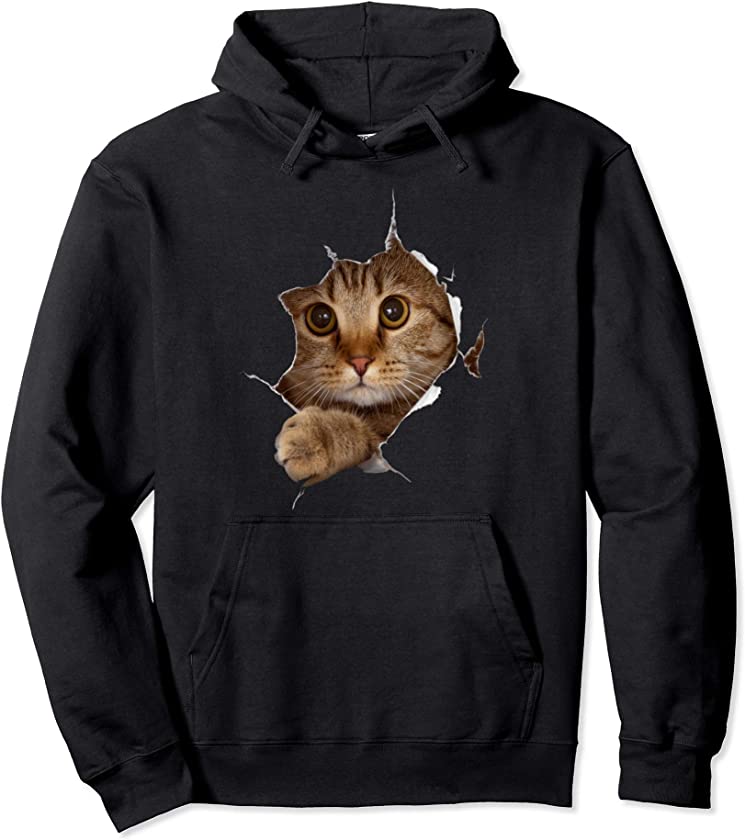 Sweet Kitten Torn Cloth – Funny Cat Lover Cat Owner Cat Lady Pullover Hoodie