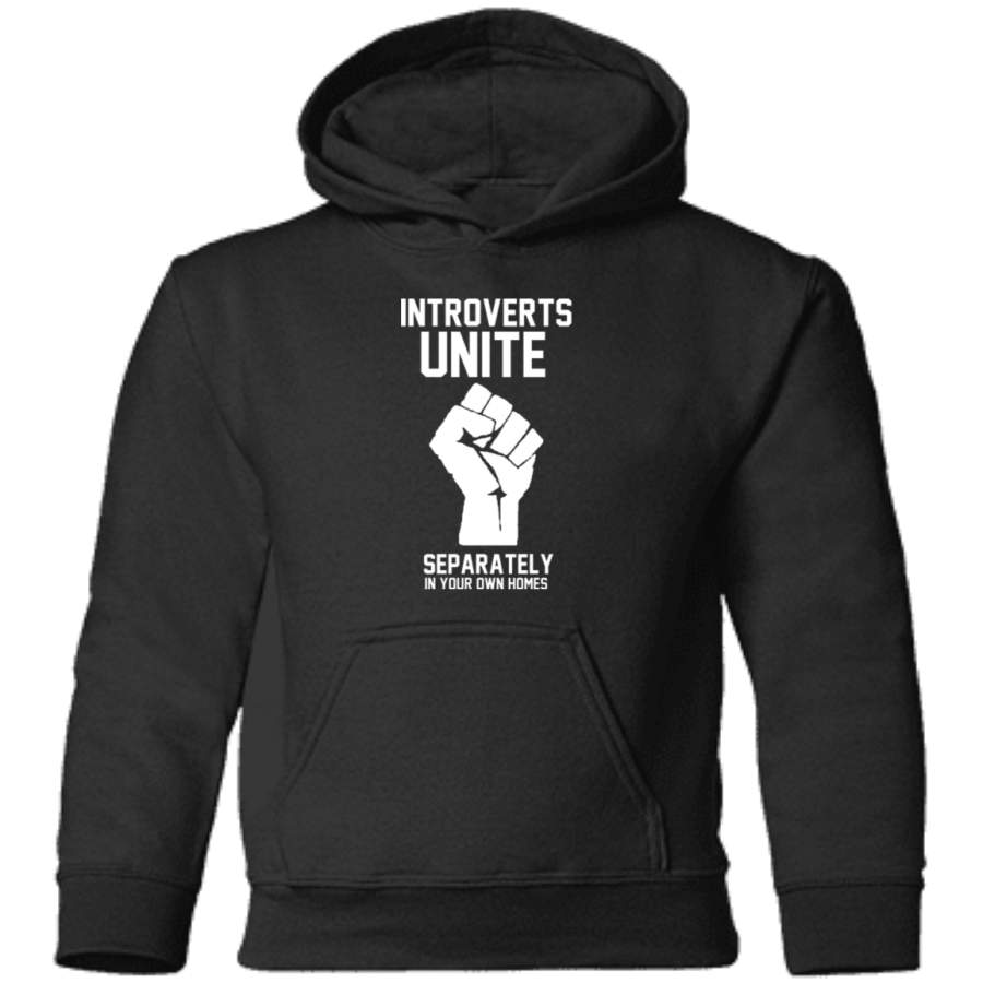 AGR Introverts unite separately in your own homes Toddler Pullover Hoodie