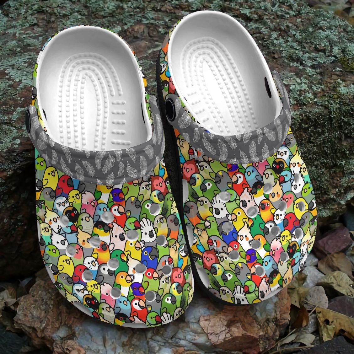 Bird Personalized Clog, Custom Name, Text, Color, Number Fashion Style For Women, Men, Kid, Print 3D Birdiversity