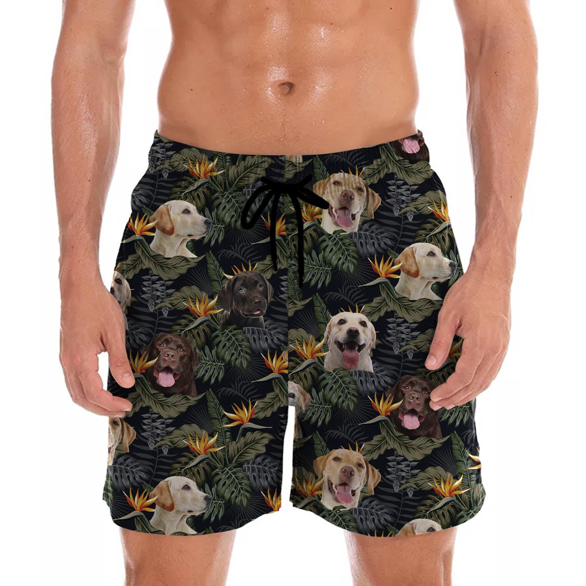 Labrador Hawaii Shorts Ha28356