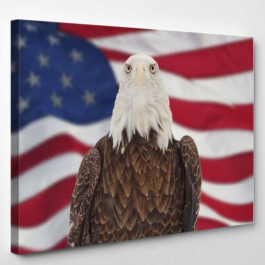 Photo Bald Eagle Against American Flag – Eagle Animals Canvas Print