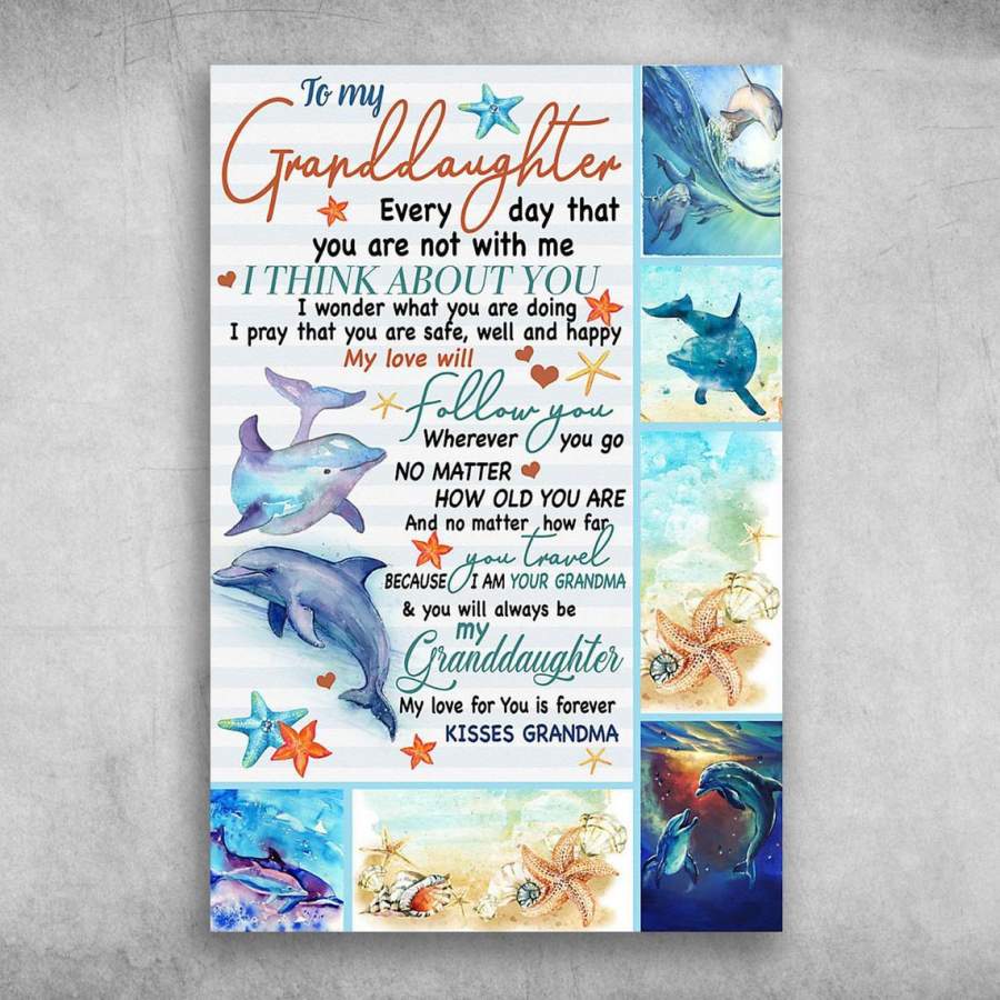 ANTN2212 – Family – To My Dolphin Granddaughter – Poster