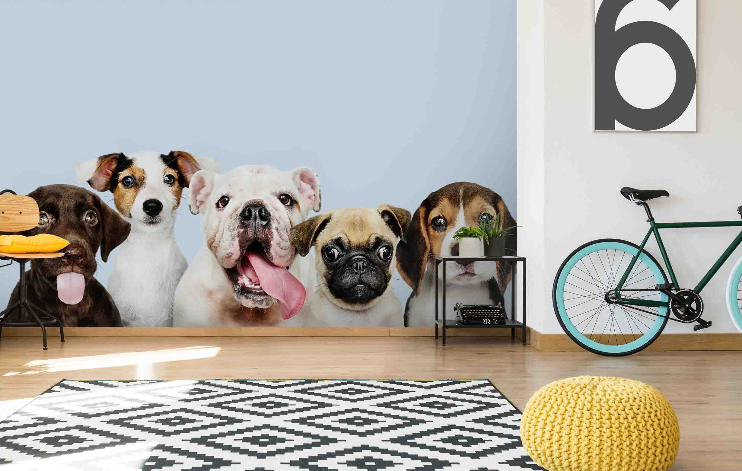 3D Animal Dogs Wall Mural Wallpaper Wj 5224