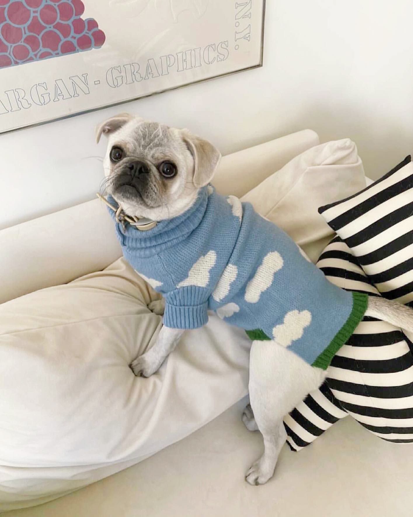 White Cloud Sweater Pet Clothing Dogs Knitting for Dog Clothes Costume French Bulldog Print Cute Autumn Winter Blue Boy Mascotas alx