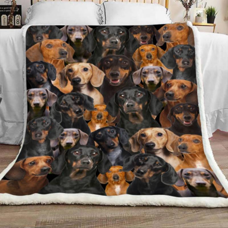 Dachshund Dog Sherpa Blanket JR1301 73O39