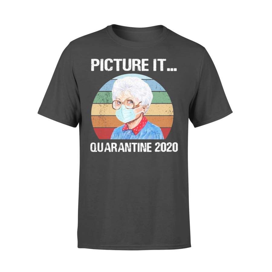 Picture It Quarantine 2020 Vintage Retro T-shirt