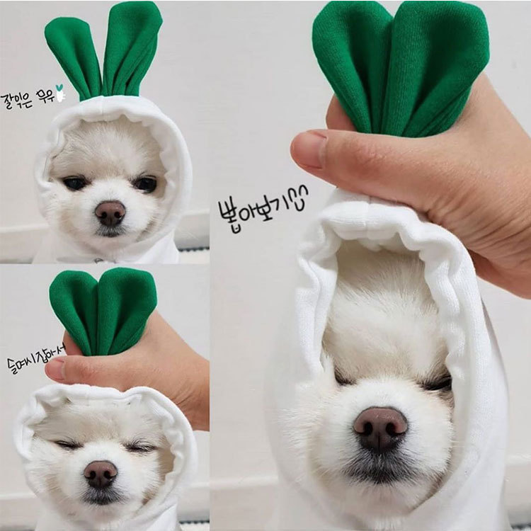 Pet Clothes Dogs Hooded Sweatshirt Fruit Warm Coat Cat Sweater Cold Weather Costume for Puppy Small Medium Large Dog Cat Clothes alx