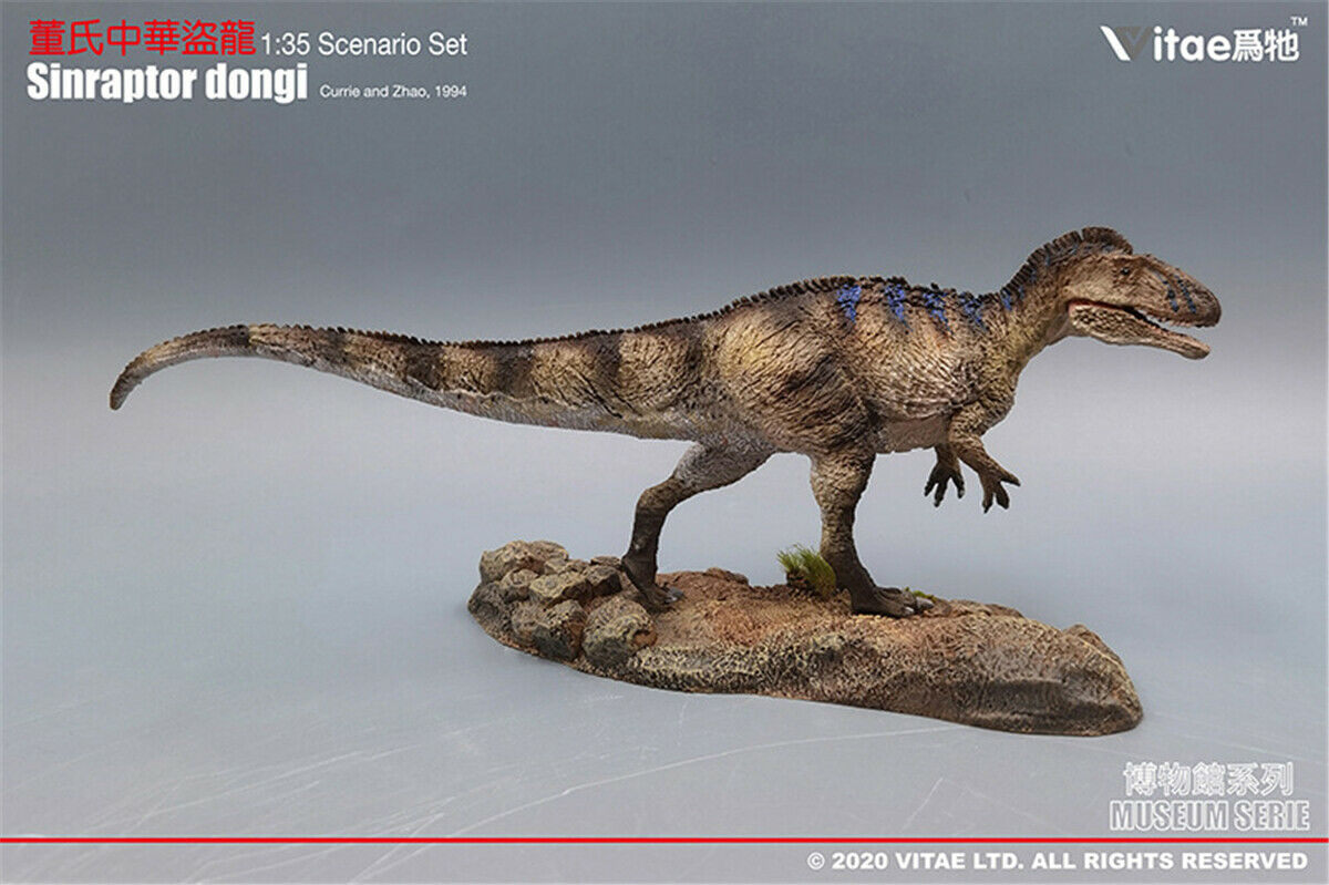 Vitae 1/35 Sinraptor dongi Statue Theropoda With Base Dinosaur Animal Collector Kids Adults Birthday Toys Gift Home Decor alx