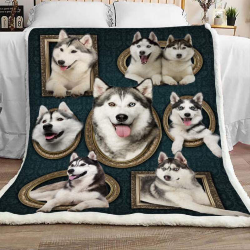 Siberian Husky Dog Sherpa Blanket JR2001 68O39