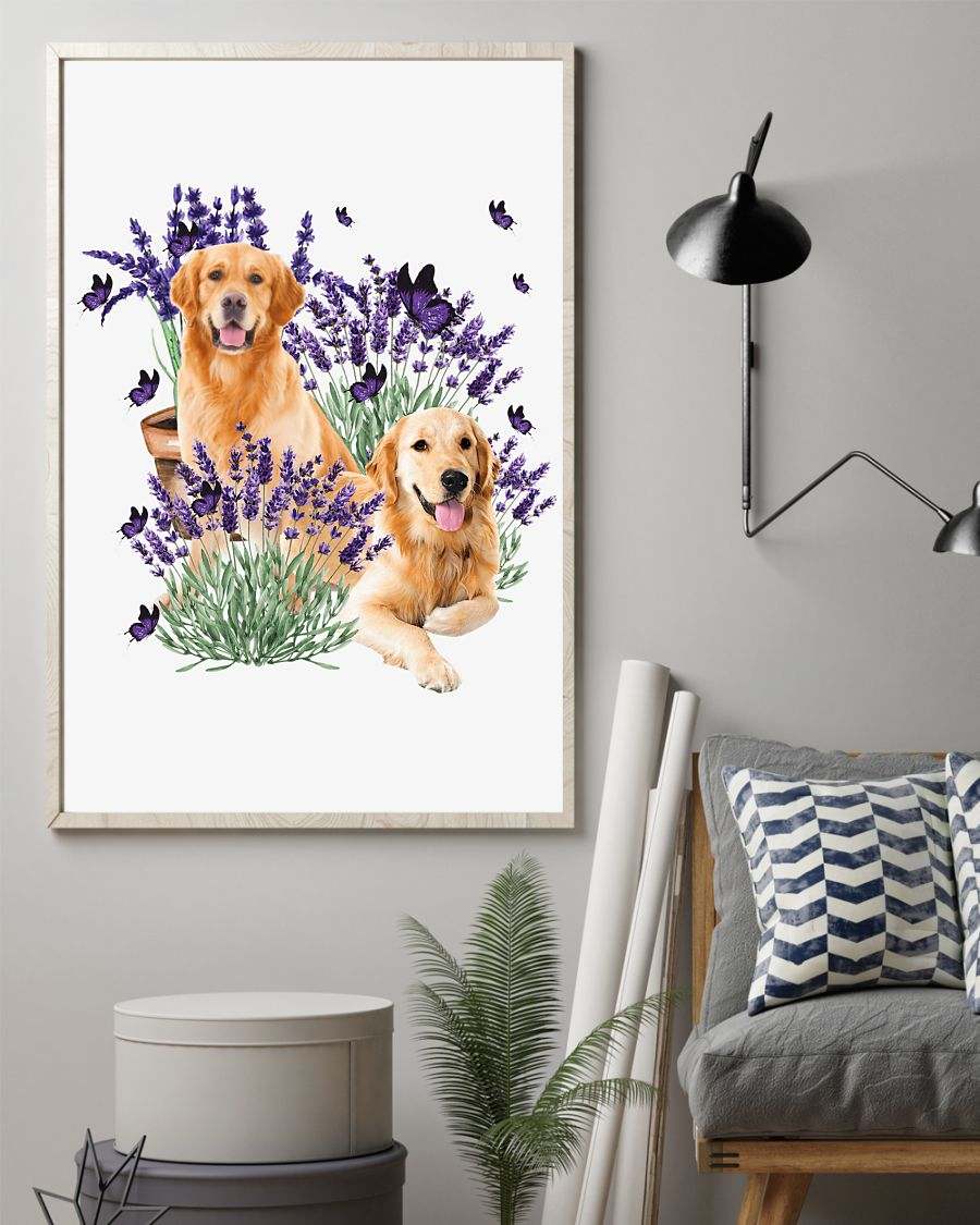 Golden Retriever with lavender flower  poster