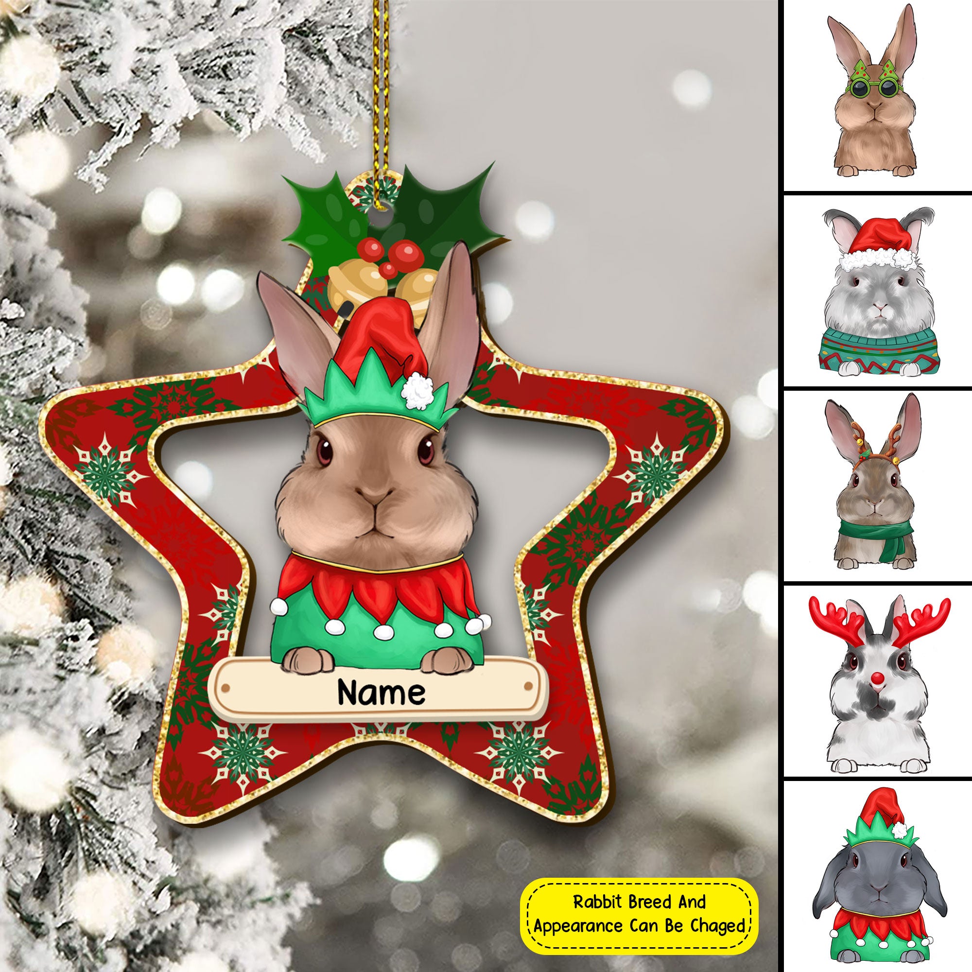 89Customized Rabbit Star Personalized Ornament