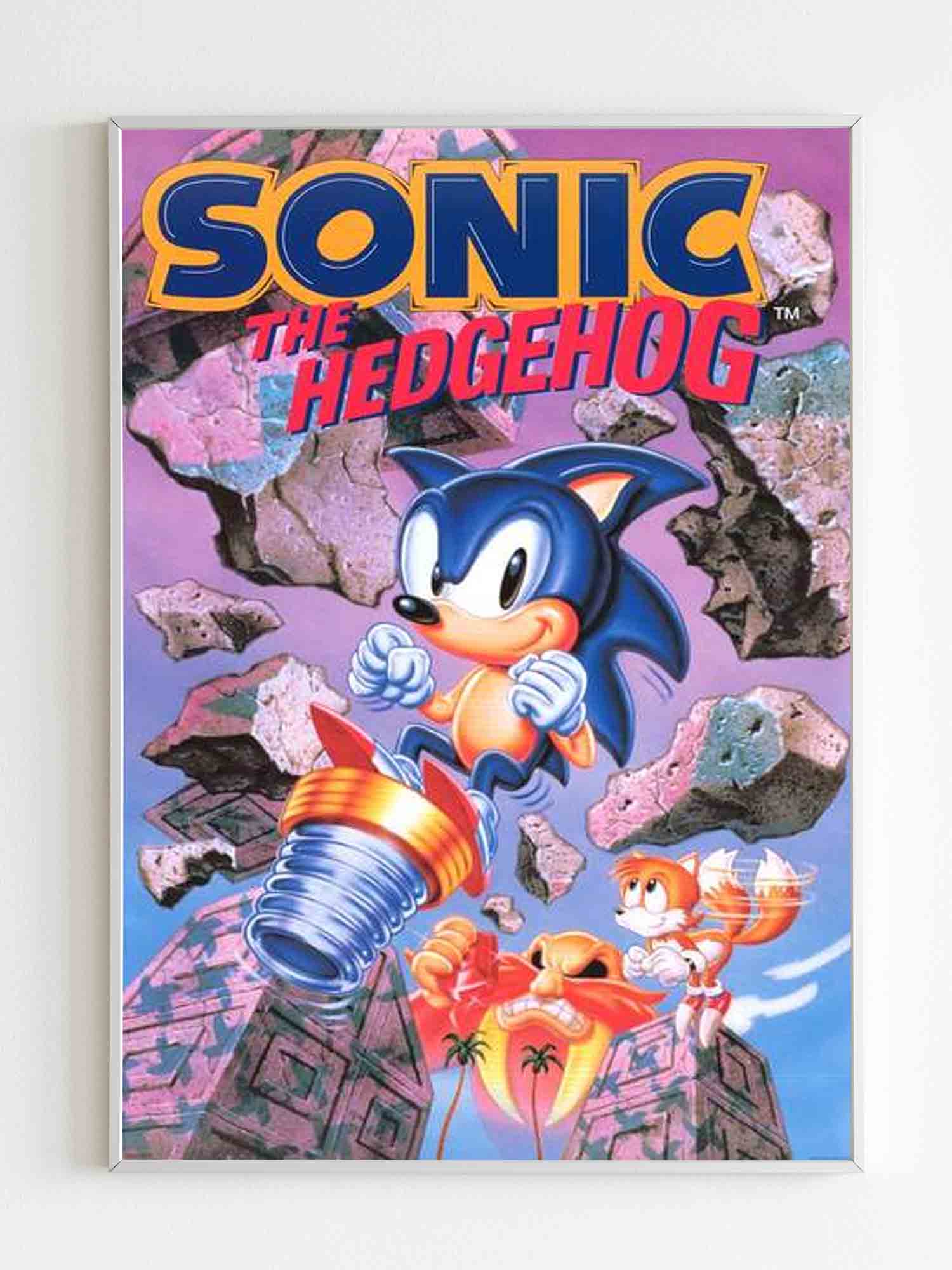 Sonic The Hedgehog Video Game Poster