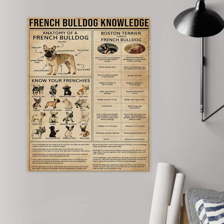 Knowledge French Bulldog Special Custom Design Poster  Gift  For Dog Lovers