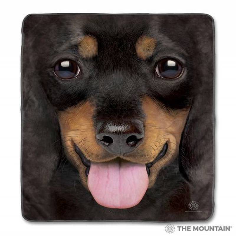 Big Face Dachshund Puppy CLA1712744F Sherpa Fleece Blanket