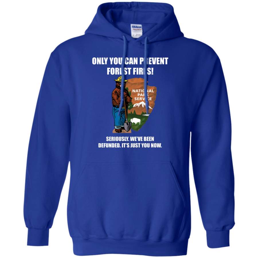 AGR Only You Can Prevent Forest Fires Defunded Hoodie, Sweatshirt