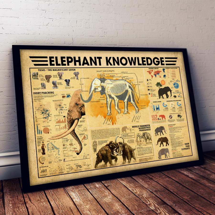 Wozoro Unframed Poster Wall Art Elephant Knowdge Size 11×17, 16×24, 24×36 inch