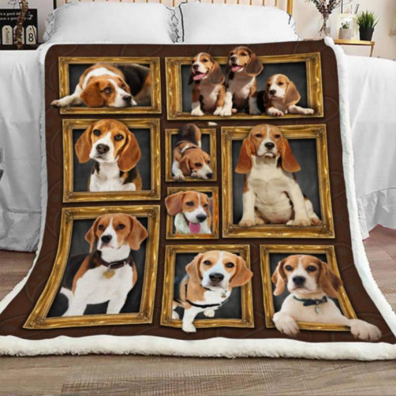 Beagle Dog Sherpa Blanket DCB3003 90O41