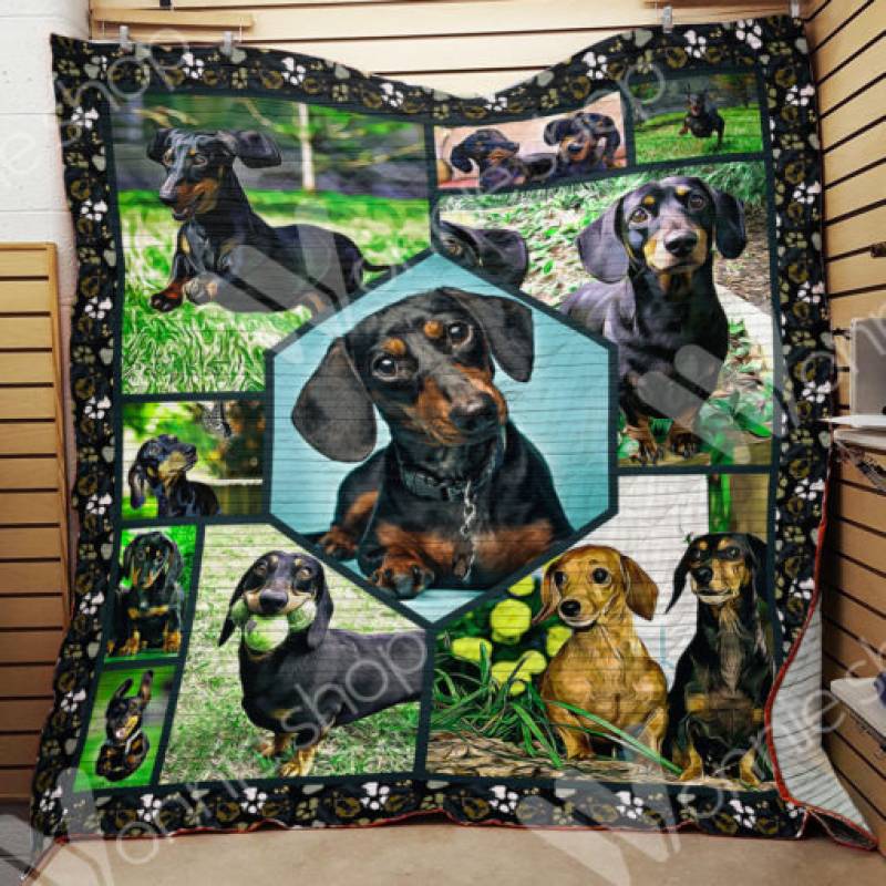 Dachshund Dog Blanket NOV2901 81O60