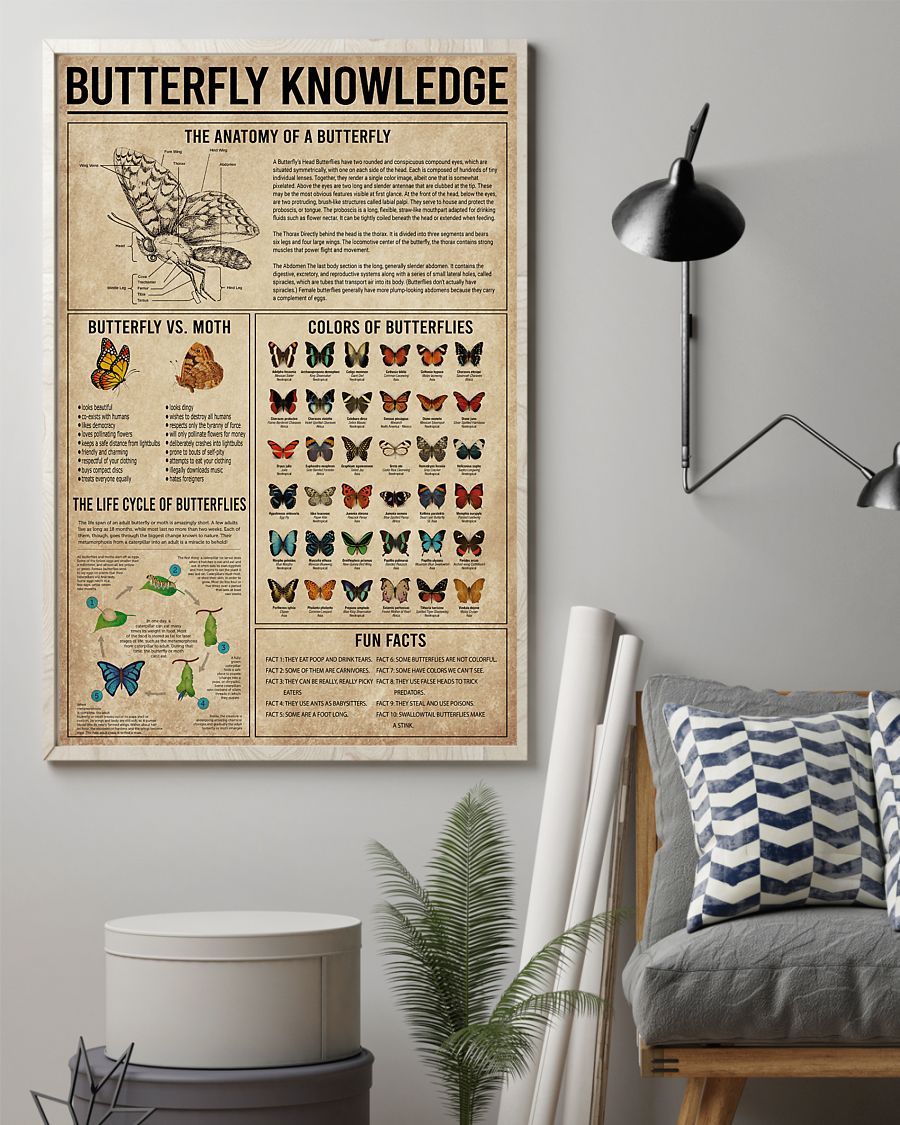 Butterfly Knowledge Vertical Canvas And Poster | Wall Decor Visual Art