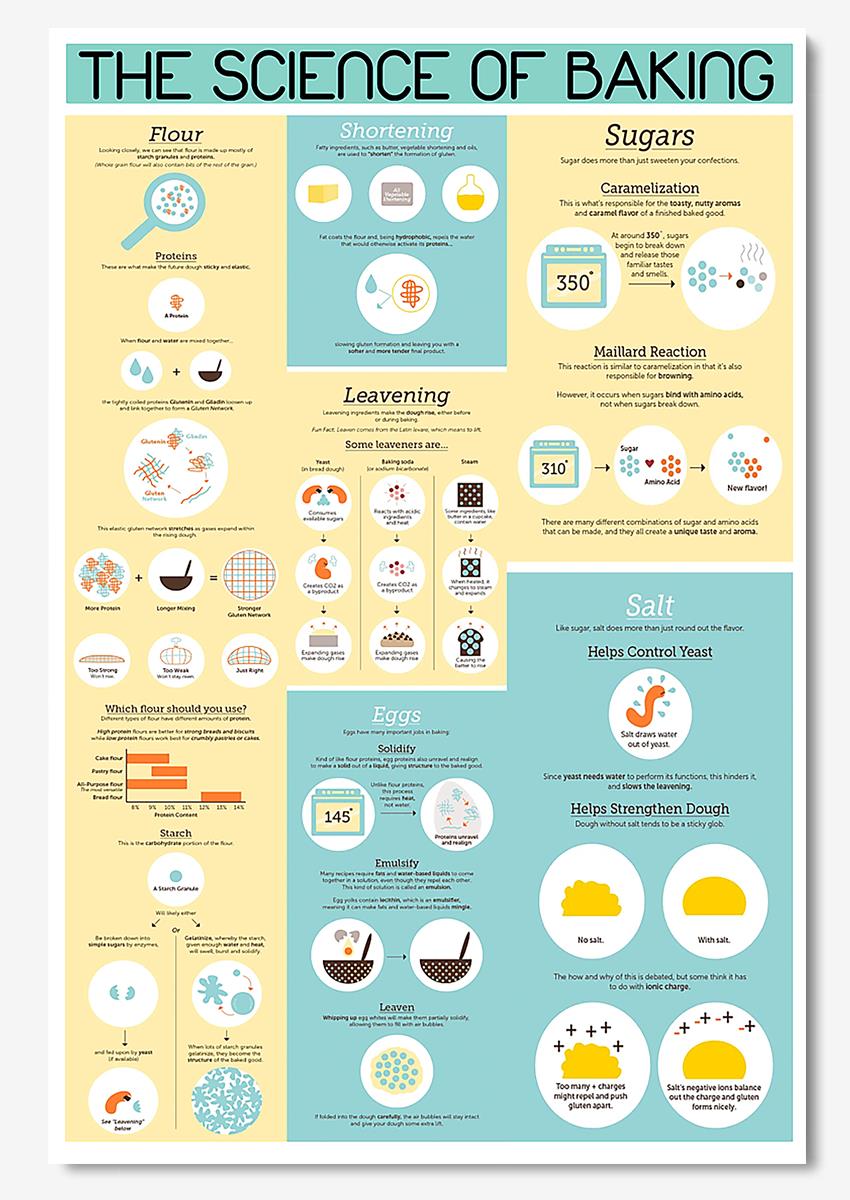 The Science Of Baking Knowledge Wall Art For Baker Bakery Decor Poster