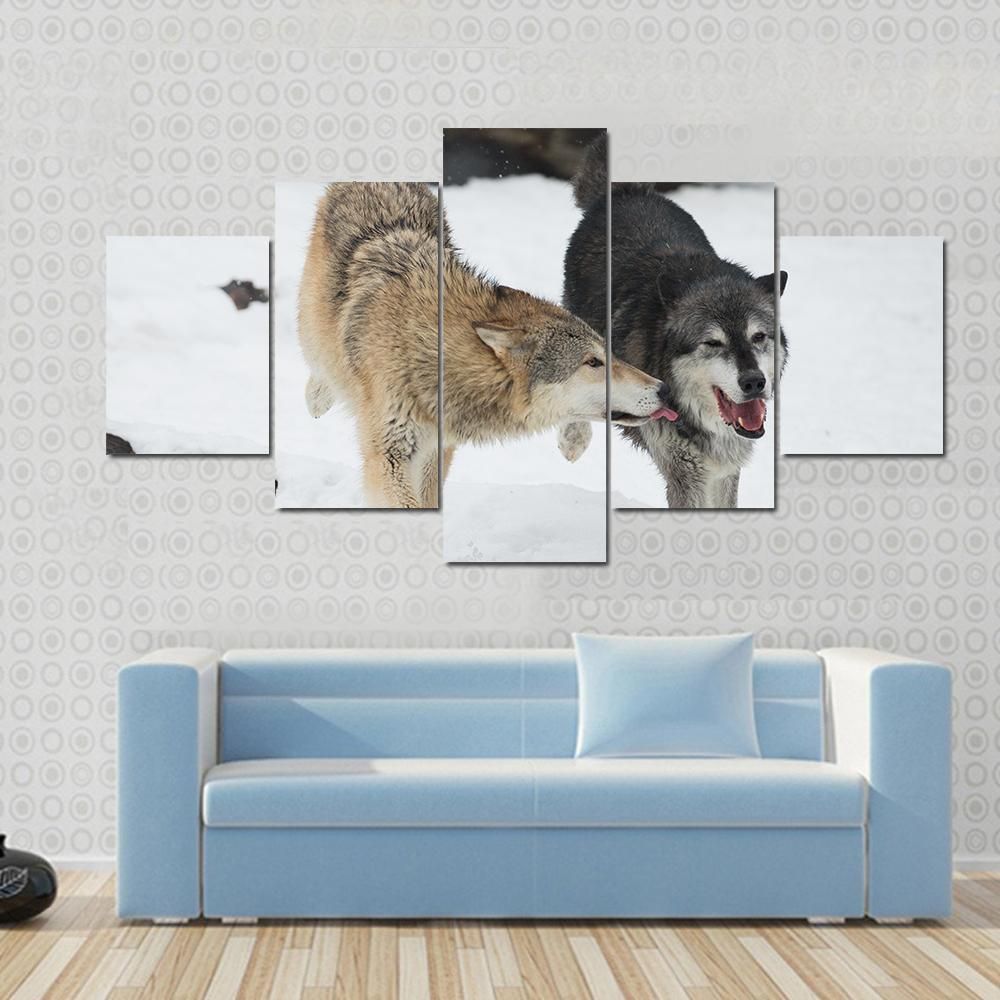 Wolves Couple Making Love In Snow Animal 5 Panel Canvas Art Wall Decor