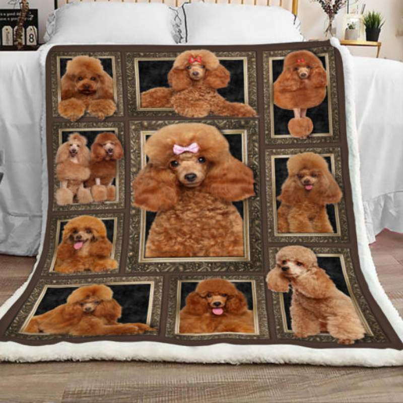 Poodle Dog Sherpa Blanket JR1801 95O47