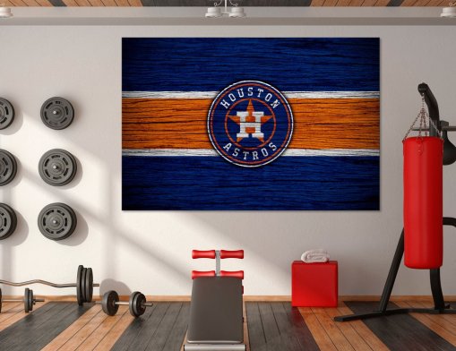 Houston Astros Canvas Print