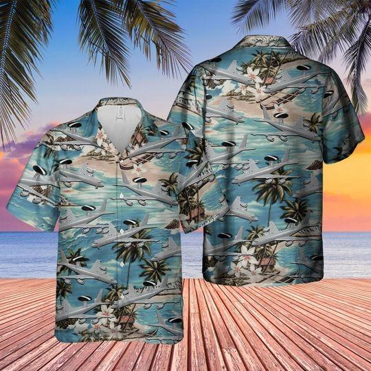 Boeing Sentry Hawaii Shirt For Men Women Adult Ha66636