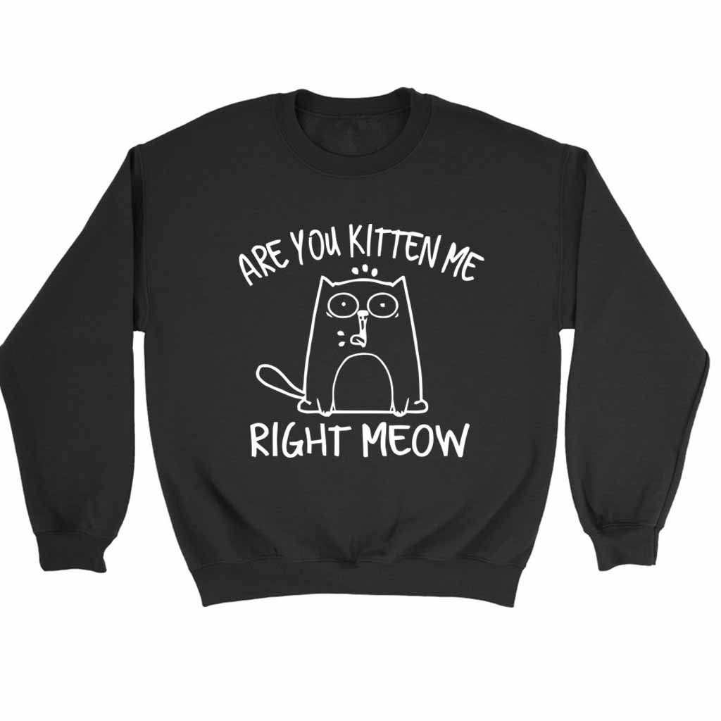 Are You Kitten Me Right Meow Cute Sweatshirt Sweater