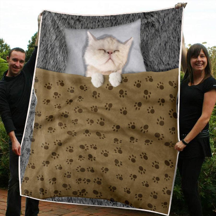 Persian Cat Sleeping Kitten Blanket Cat Print Blanket Cats Gifts