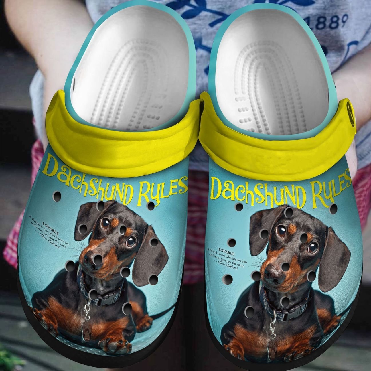 Dachshund Rule Personalized Clog, Custom Name, Text, Color, Number Fashion Style For Women, Men, Kid, Print 3D