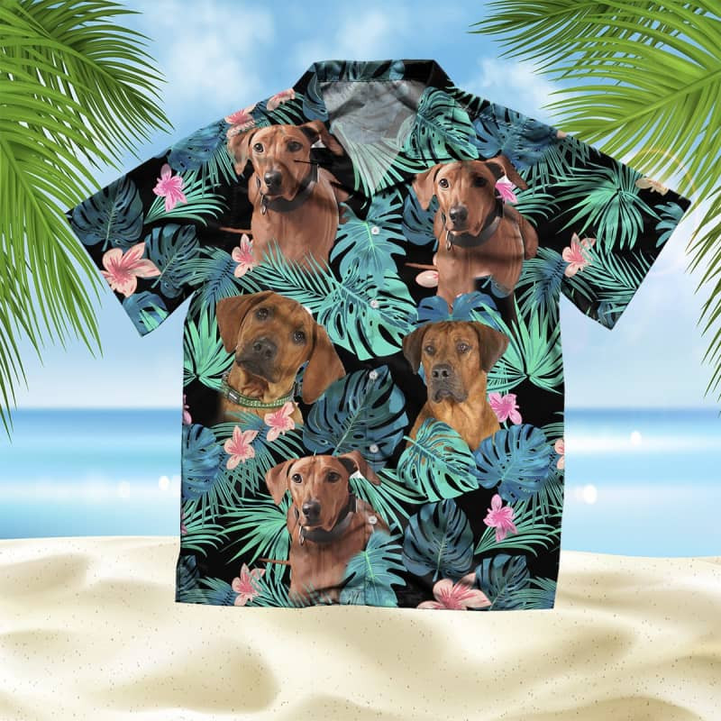 Felacia Rhodesian Ridgeback Summer Leaves Hawaii Shirt Ha47394