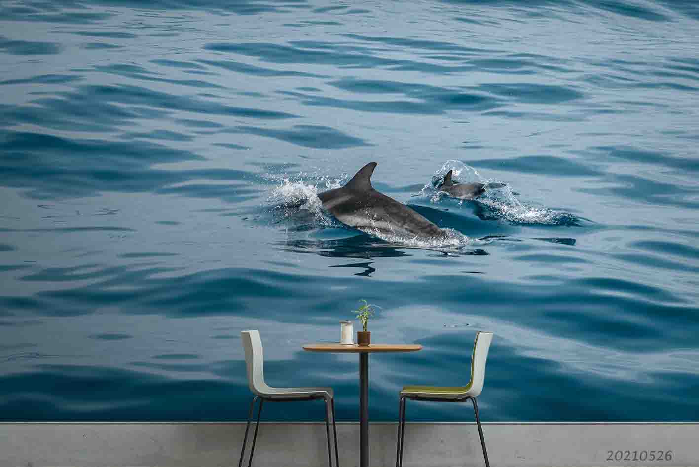 3D Sea Dolphin Wall  Mural Wallpaper Sww329