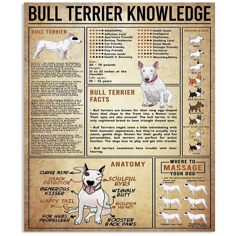 Bull Terrier Knowledge Gift Vertical Poster