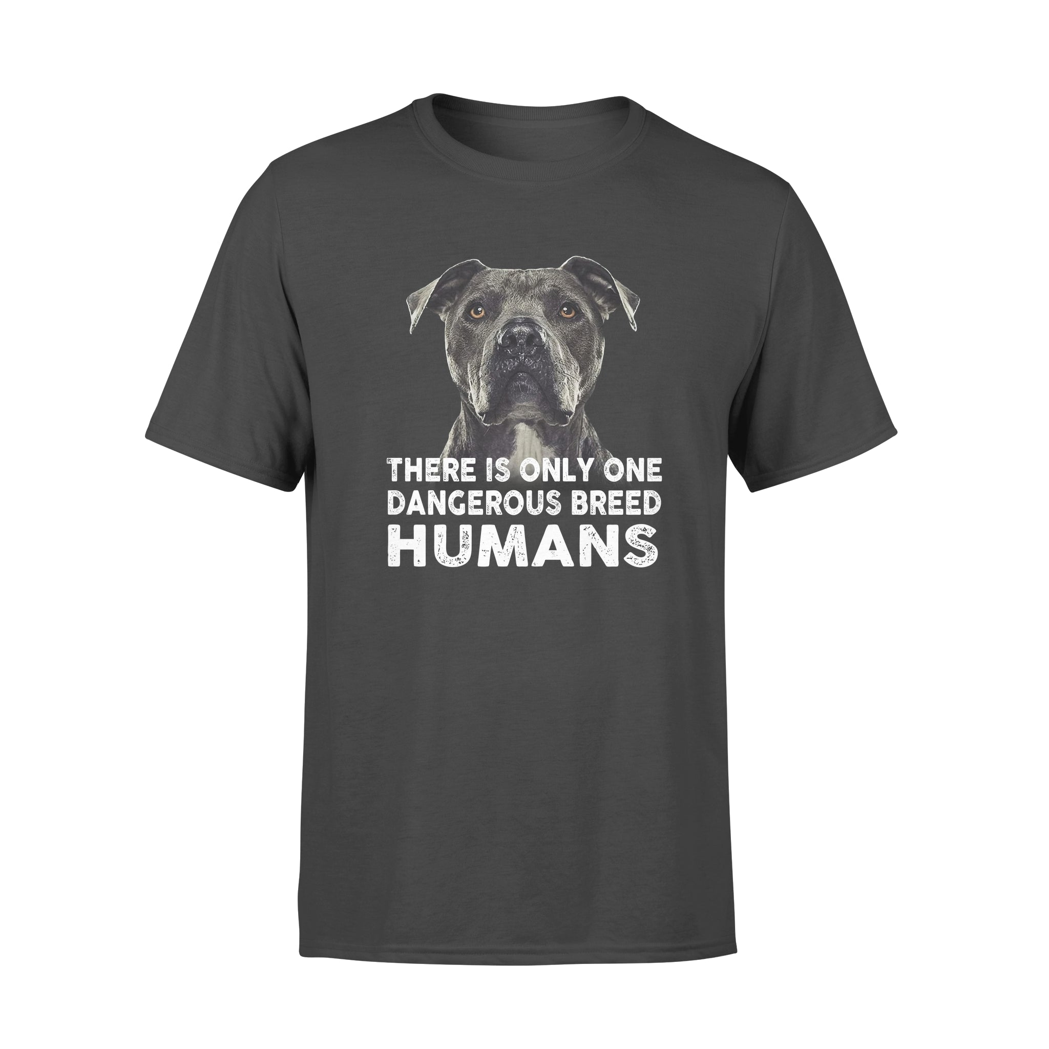 Pitbull There Is Only One Dangerous Breed Humans – Standard T-shirt