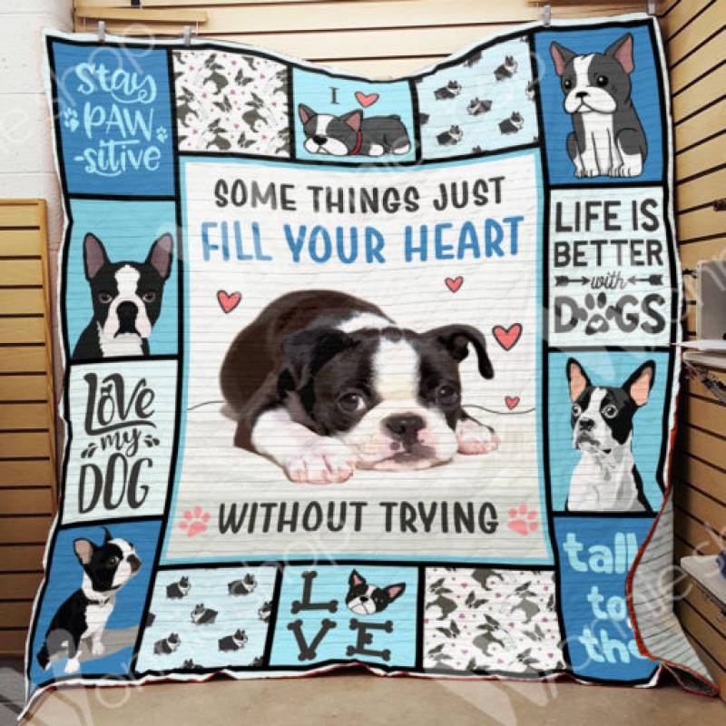 Boston Terrier Dog Blanket NOV2903 78O58