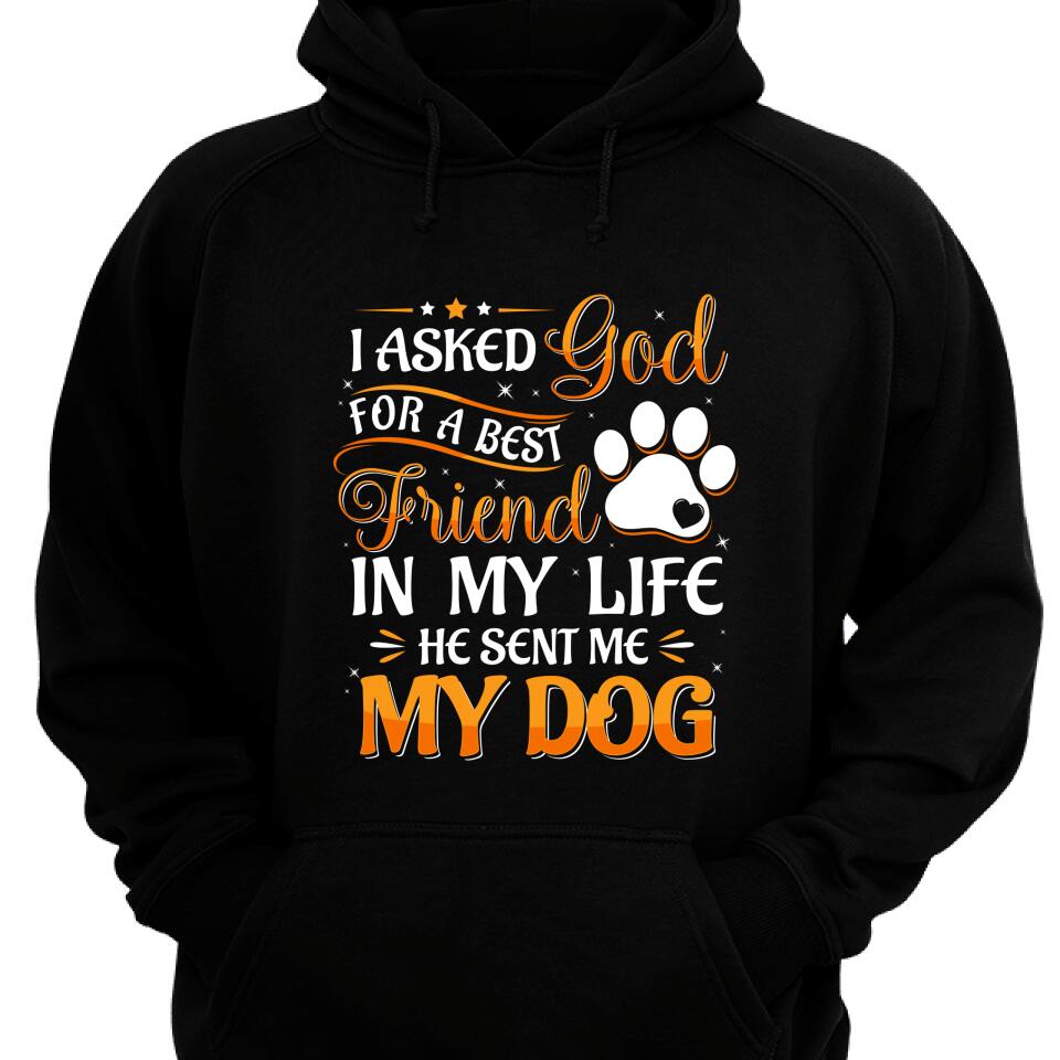 I Asked For A Best Friend In My Life Hoodie, He Sent Me My Dog