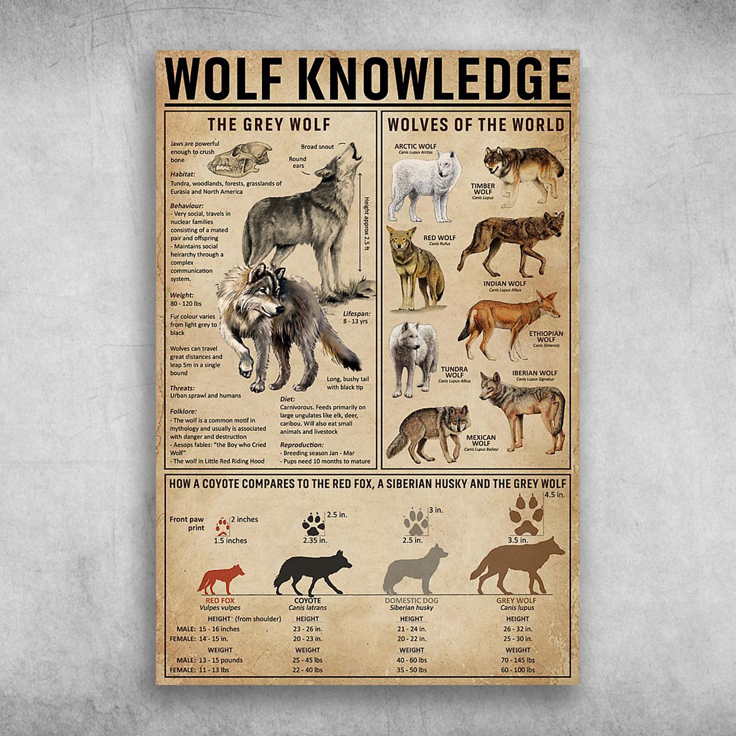 Wolf Knowledge The Grey Knowledge Wolves Of The World Poster Print, Canvas Print, Canvas Wall Art, Canvas And Poster Wall Decor