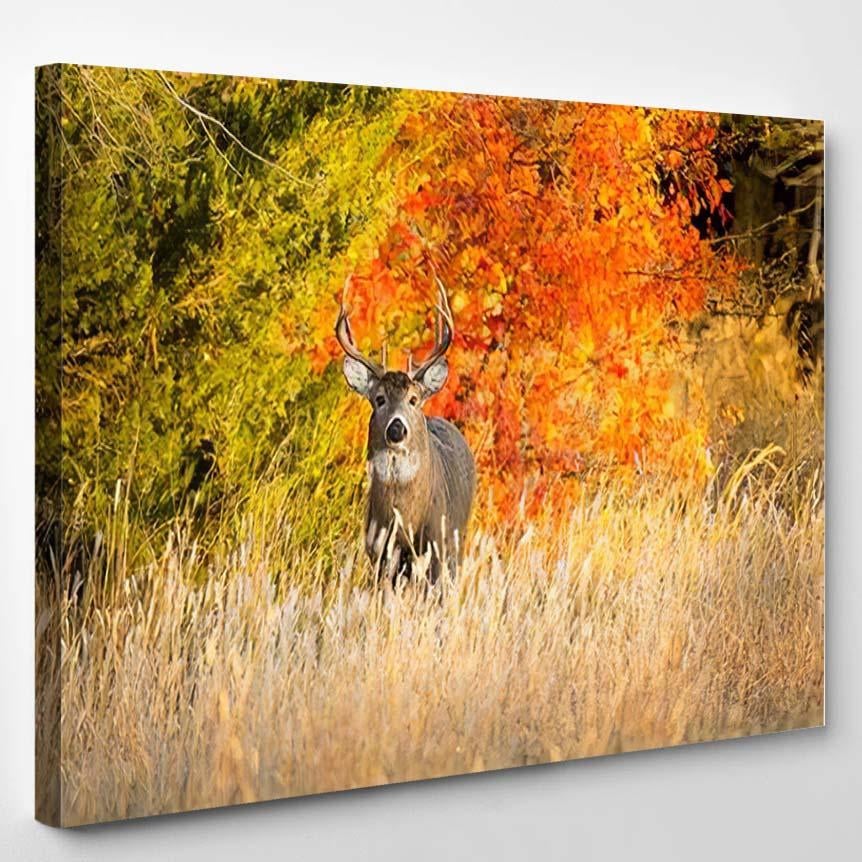 This Whitetail Buck Searching Doe Along – Deer Animals Canvas Print