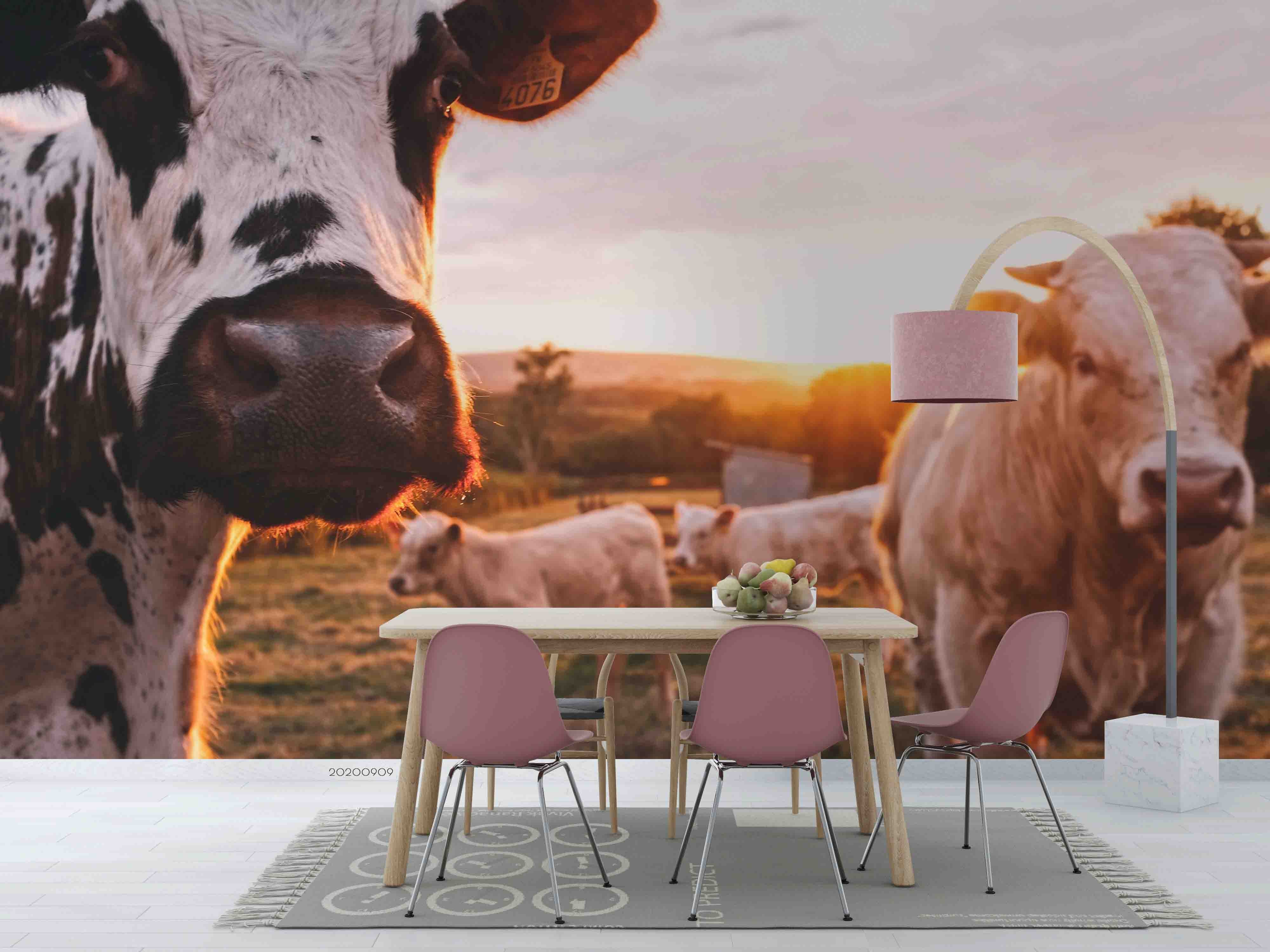 3D Sunset Glowing Grassland Cow Animal Wall Mural Wallpaper Lxl