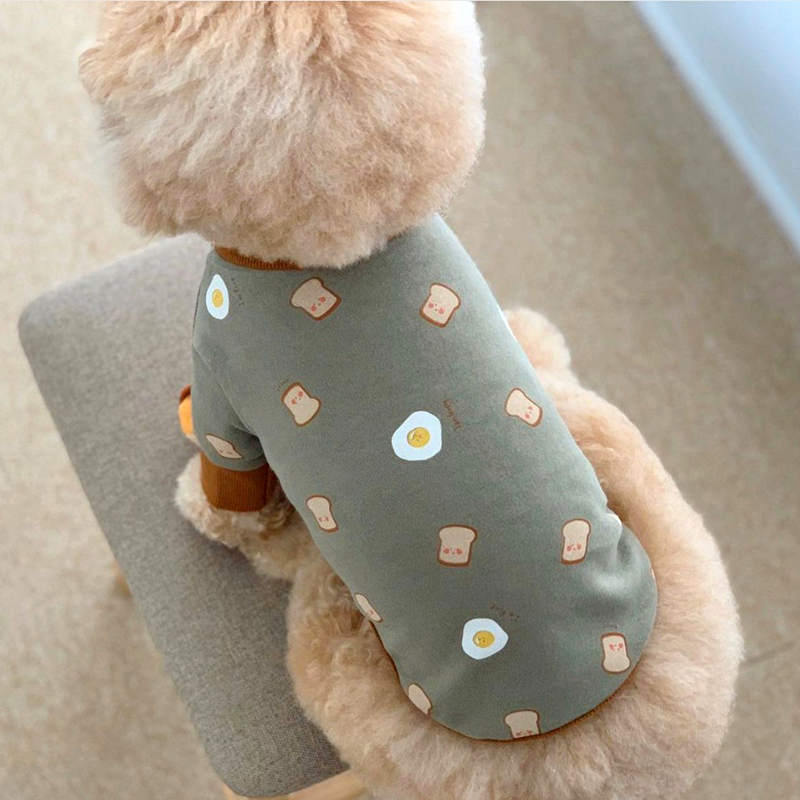 2021 Summer Puppy Casual Clothes Orange Cartoon Dog Clothes Poodle Cat two-legged Clothes Soft and Breathable Pet Summer Clothes alx