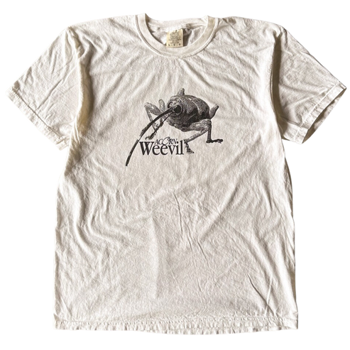 Acorn Weevil Tee Shirt Outfit  For Men  For Women