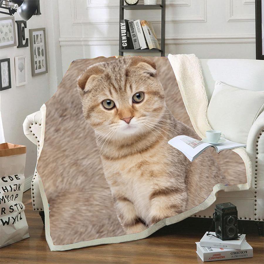 Scottish Fold Cat Blanket Design Cat Print Blanket Cats Gifts