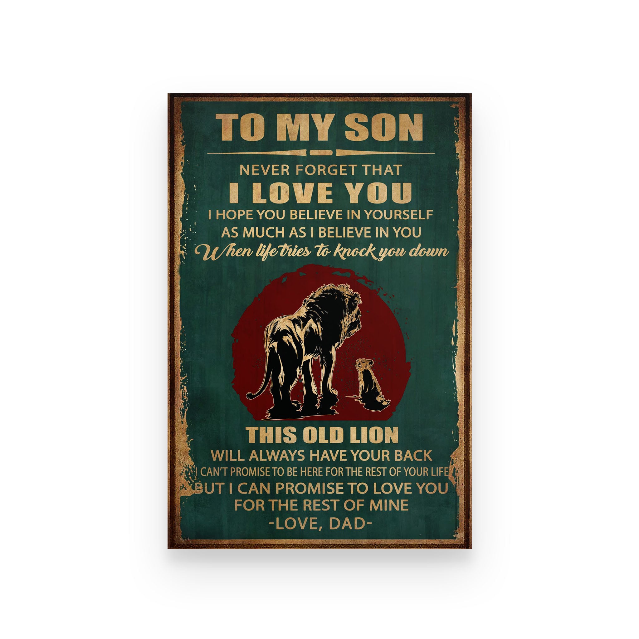 Poster lion Doc dad for son never forget that i love you